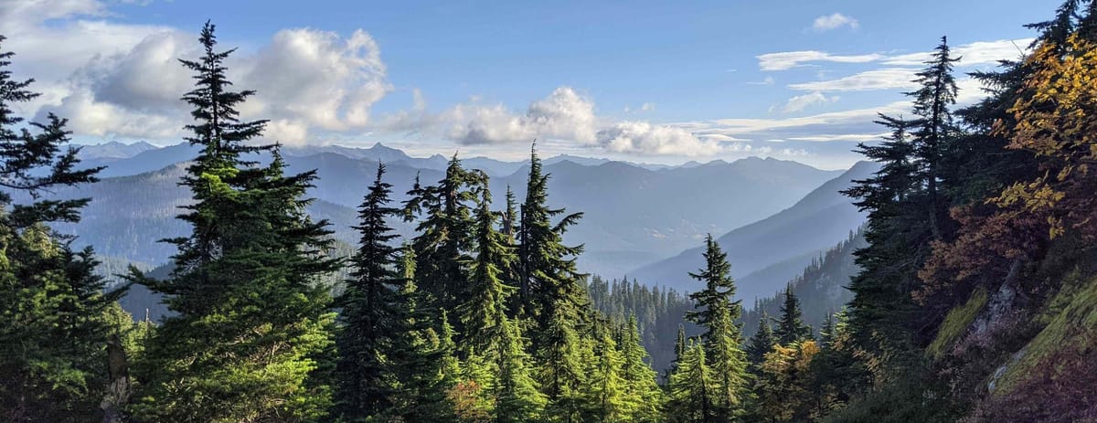 Bonus Episode 5.25 - AI on AI