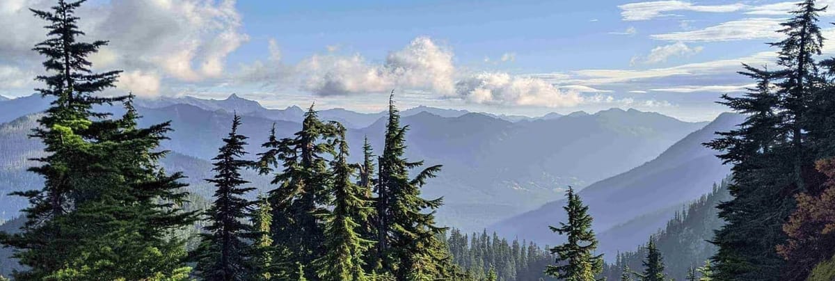 Bonus Episode 5.5 - Will AI Take Your Job?